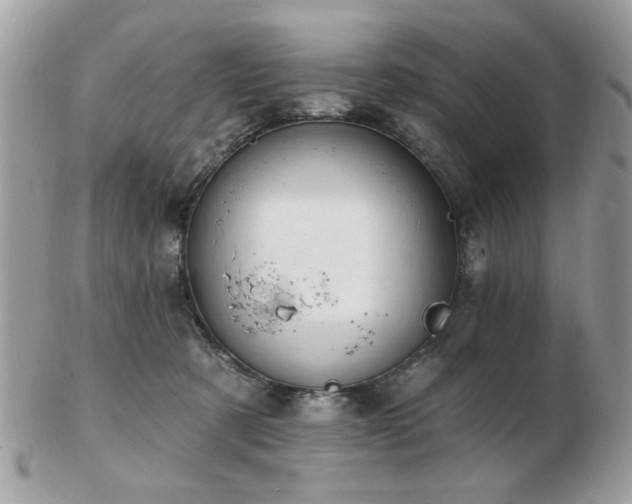 X0000103260321200808291223