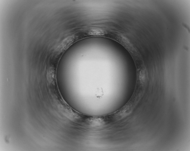 X0000103260322200808291223