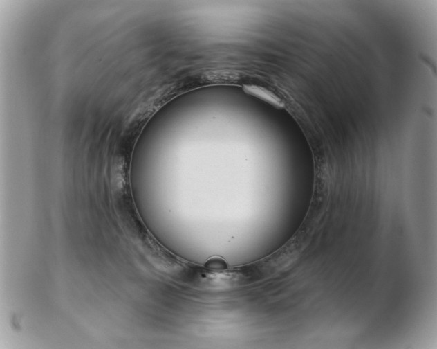 X0000103260323200808291223