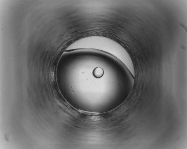 X0000103260324200808291223