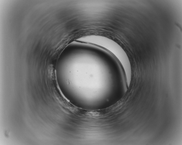 X0000103260328200808291223