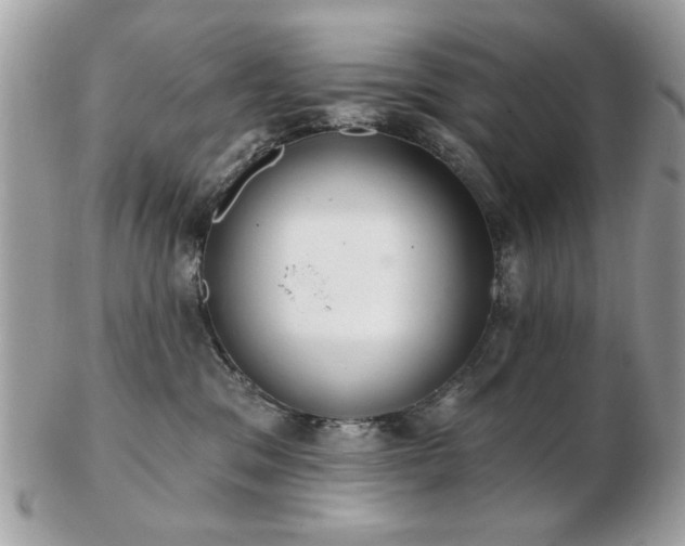 X0000103260329200808291223