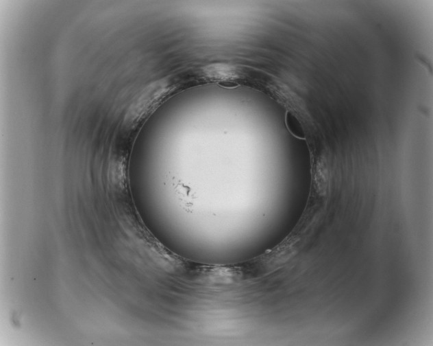 X0000103260330200808291223