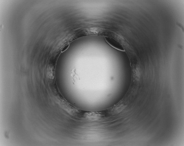 X0000103260331200808291223