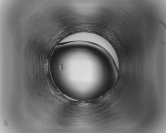 X0000103260332200808291223