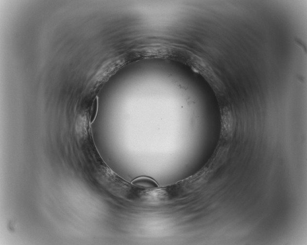 X0000103260333200808291223