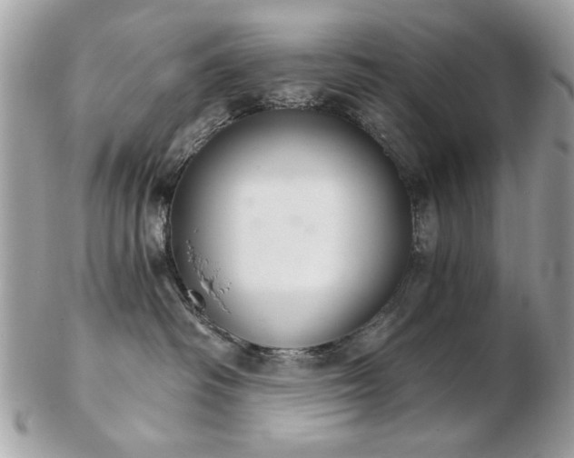 X0000103260334200808291223