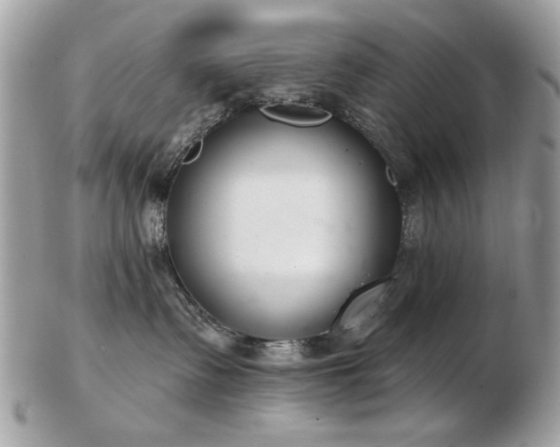 X0000103260335200808291223