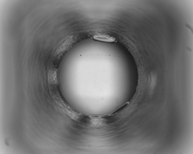 X0000103260336200808291223