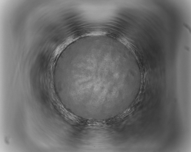 X0000103260337200808291223