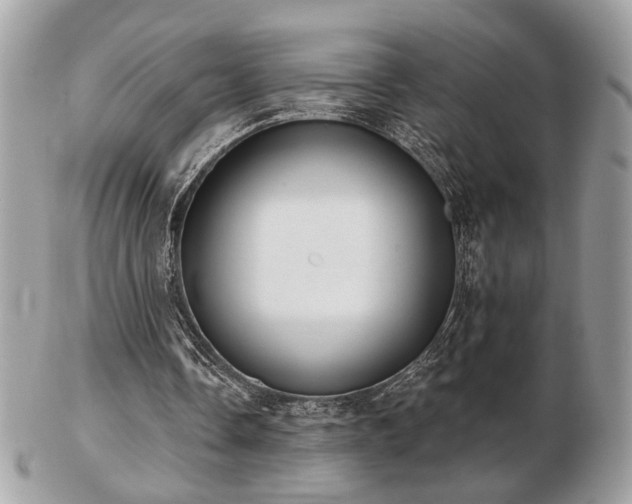 X0000103260338200808291223