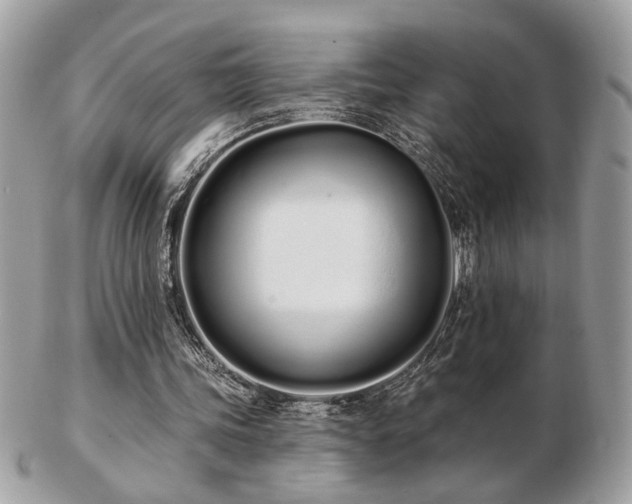 X0000103260339200808291223