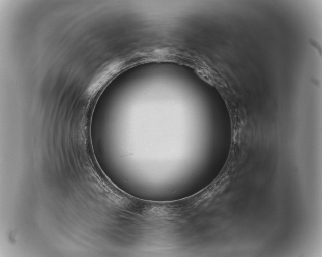 X0000103260341200808291223