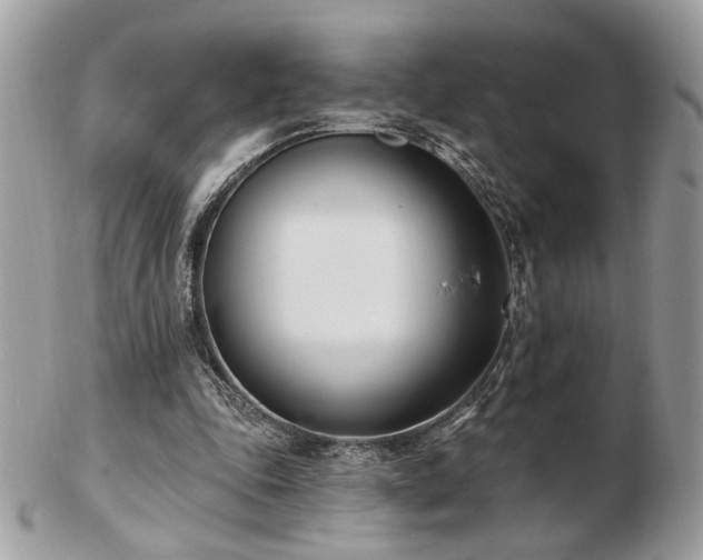 X0000103260343200808291223