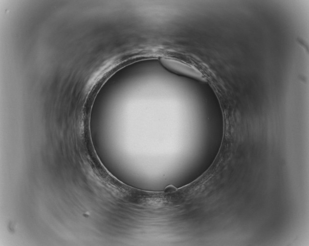 X0000103260344200808291223