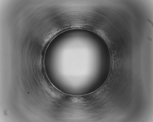 X0000103260346200808291223