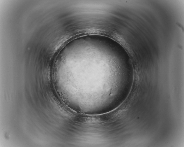 X0000103260347200808291223