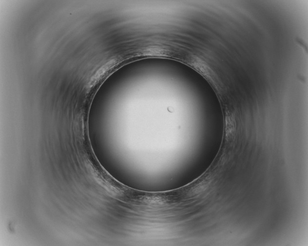 X0000103260349200808291223