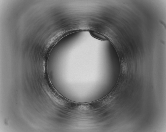 X0000103260350200808291223