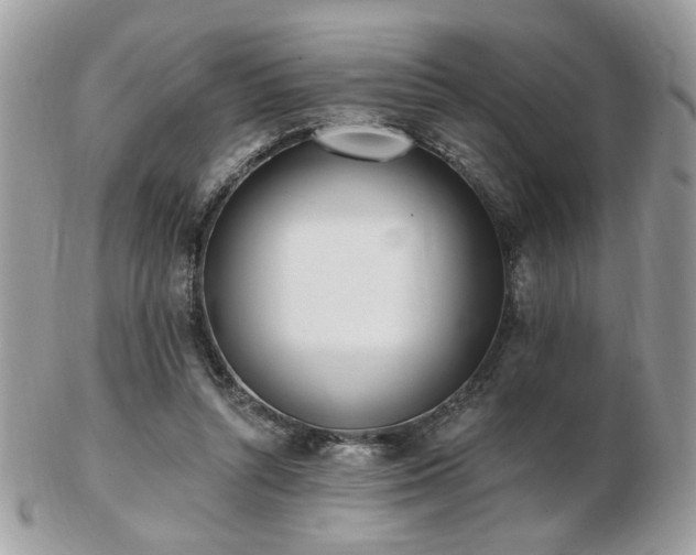 X0000103260352200808291223