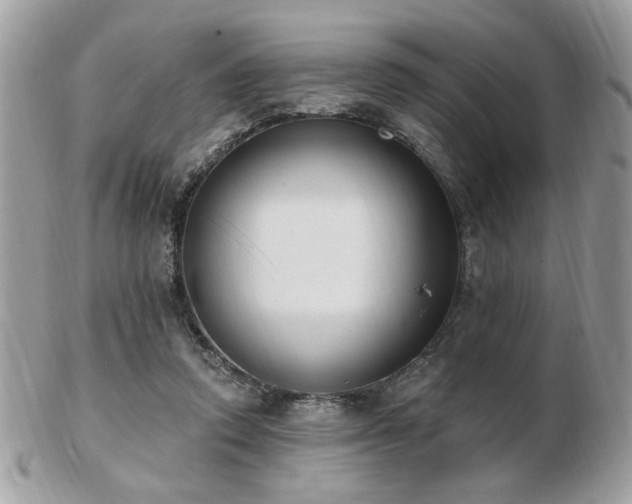 X0000103260354200808291223