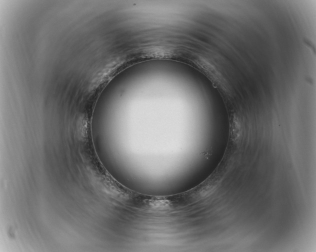 X0000103260355200808291223