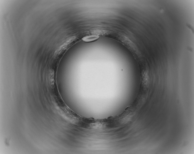 X0000103260356200808291223