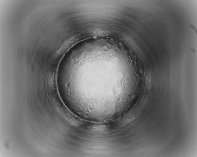 X0000103260357200808291223