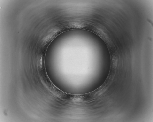 X0000103260358200808291223