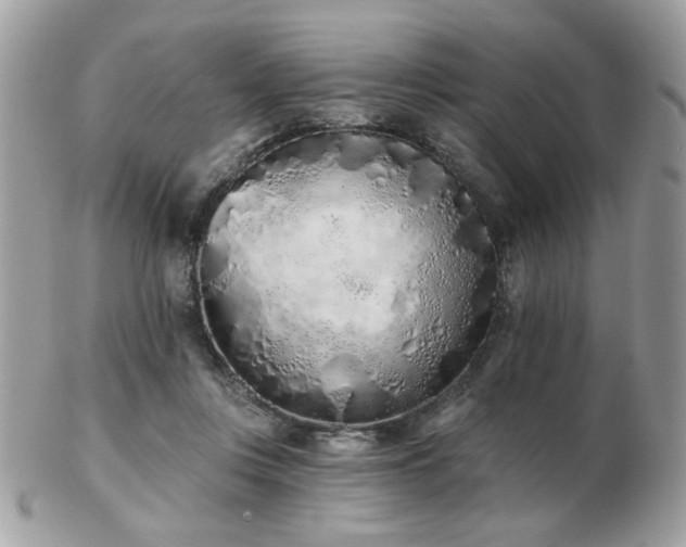 X0000103260359200808291223