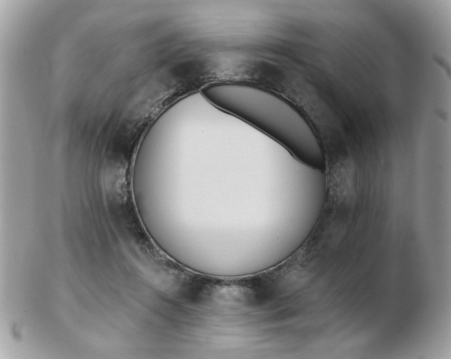 X0000103260360200808291223