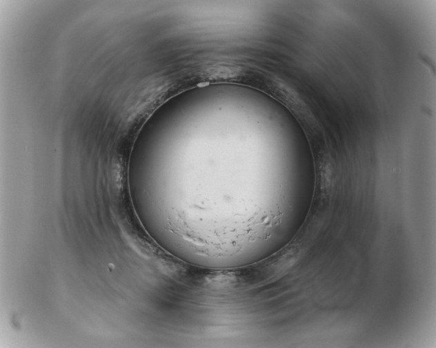 X0000103260362200808291223