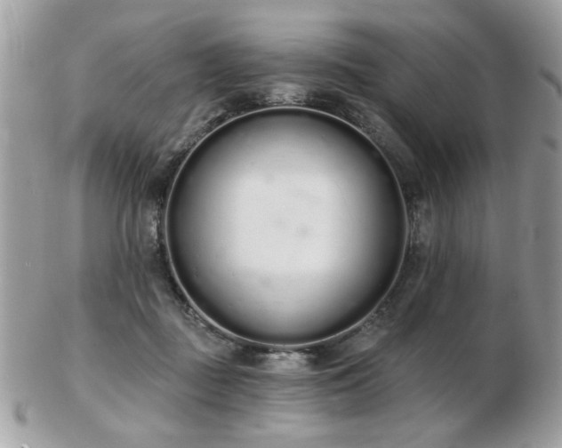 X0000103260363200808291223