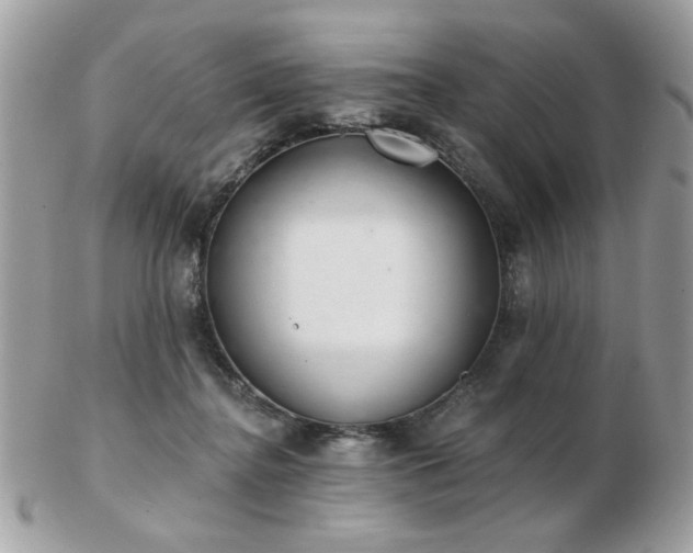 X0000103260364200808291223