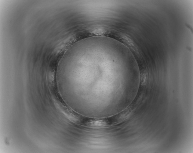 X0000103260365200808291223