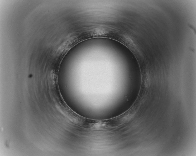 X0000103260366200808291223