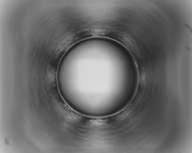 X0000103260367200808291223