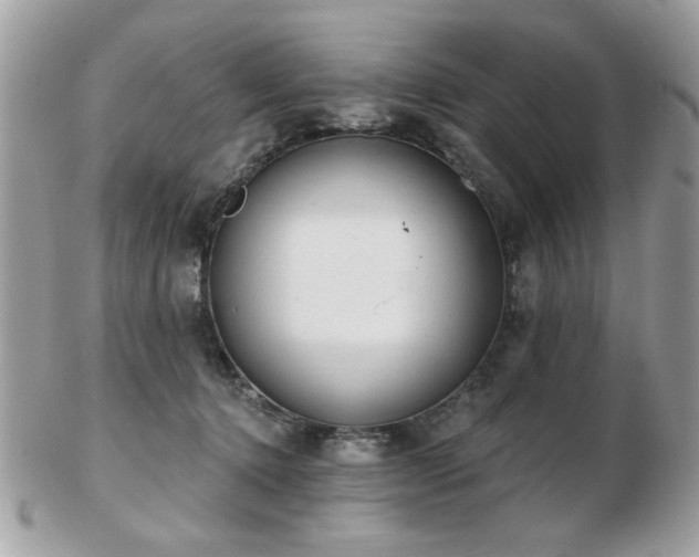 X0000103260368200808291223