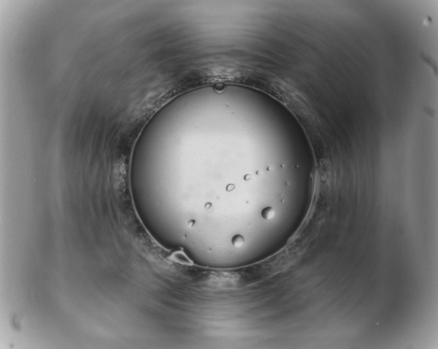 X0000103260369200808291223