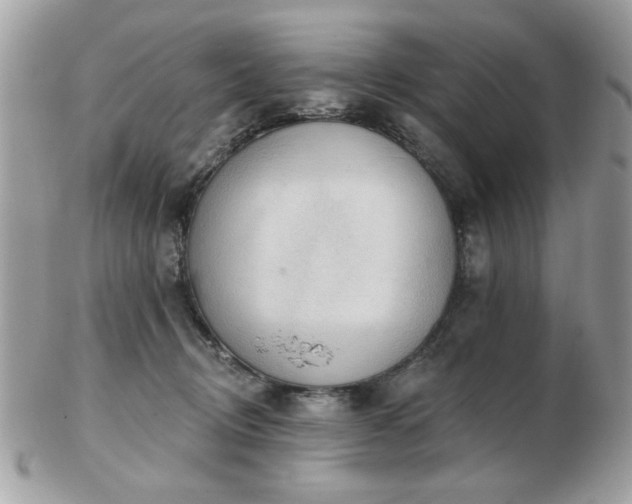 X0000103260370200808291223