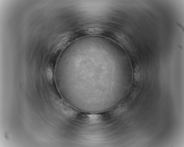 X0000103260371200808291223