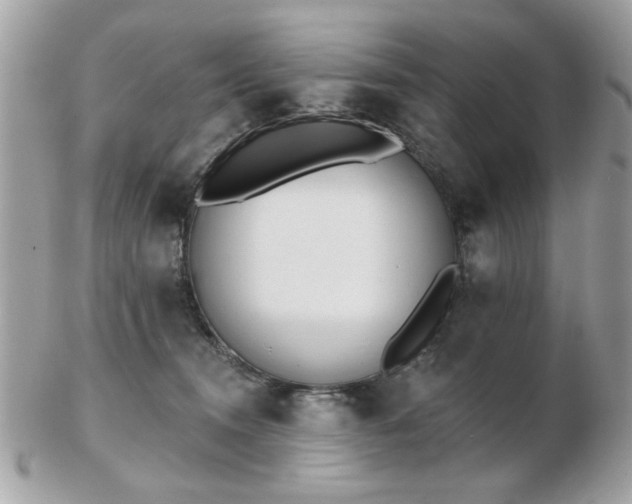 X0000103260372200808291223