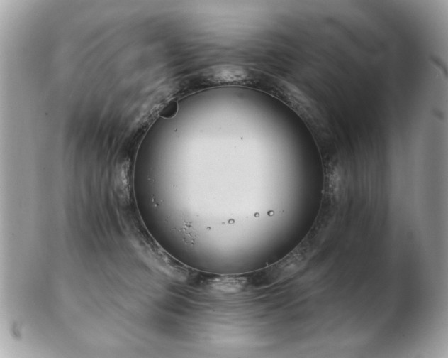 X0000103260373200808291223