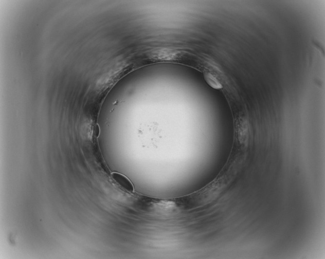 X0000103260374200808291223