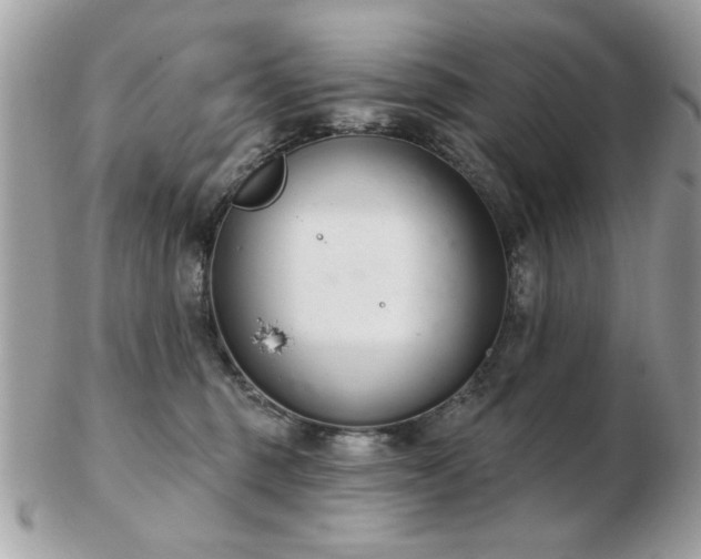 X0000103260375200808291223