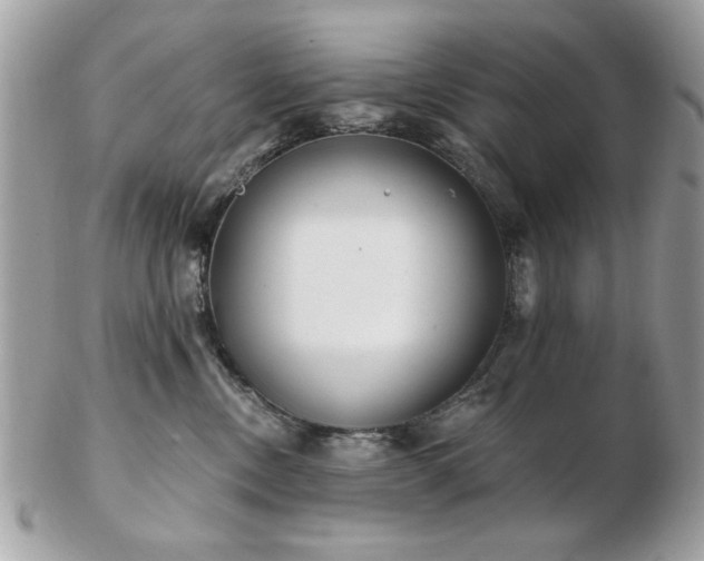 X0000103260378200808291223