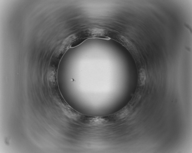 X0000103260379200808291223