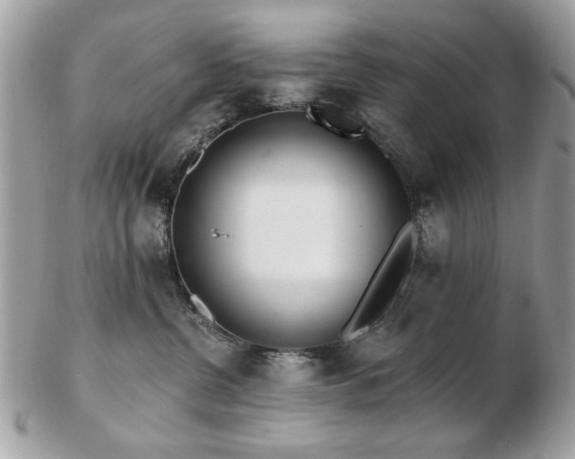 X0000103260380200808291223