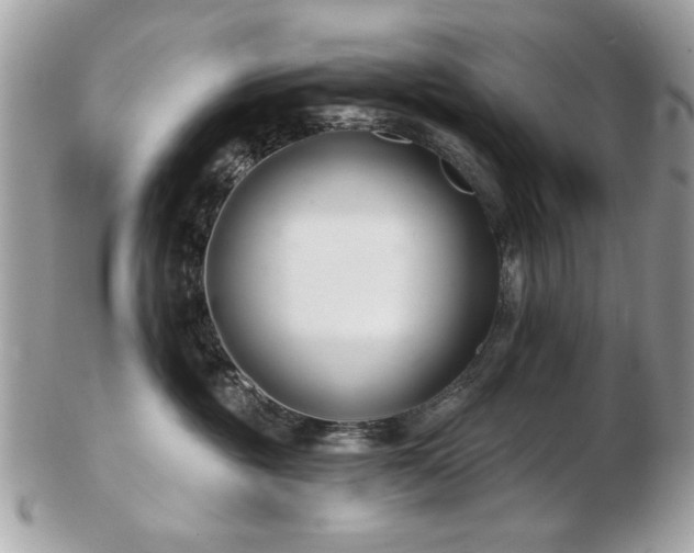 X0000103260381200808291223