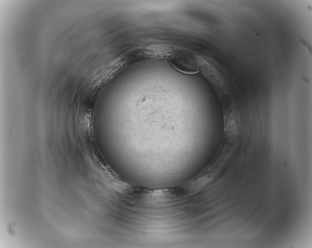 X0000103260382200808291223